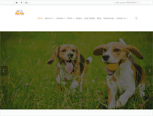 Tablet Screenshot of dogdaysadventure.co.uk